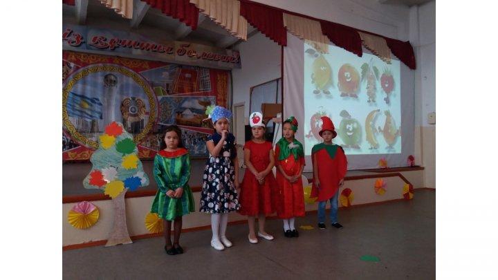 КҮЗГІ БАЛ