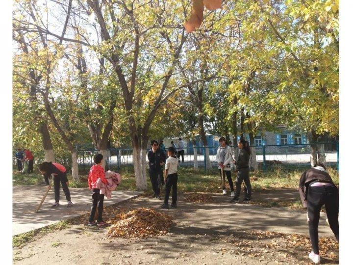 Таза қала акциясы