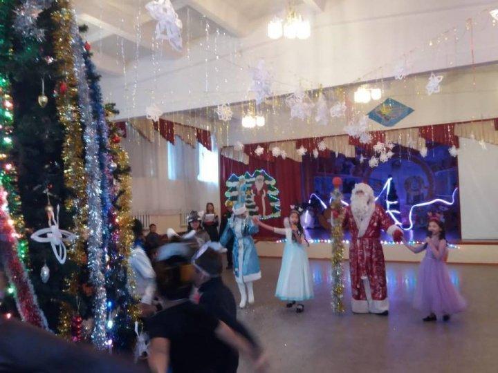 Жарқыра!Жайна, жасыл шырша!